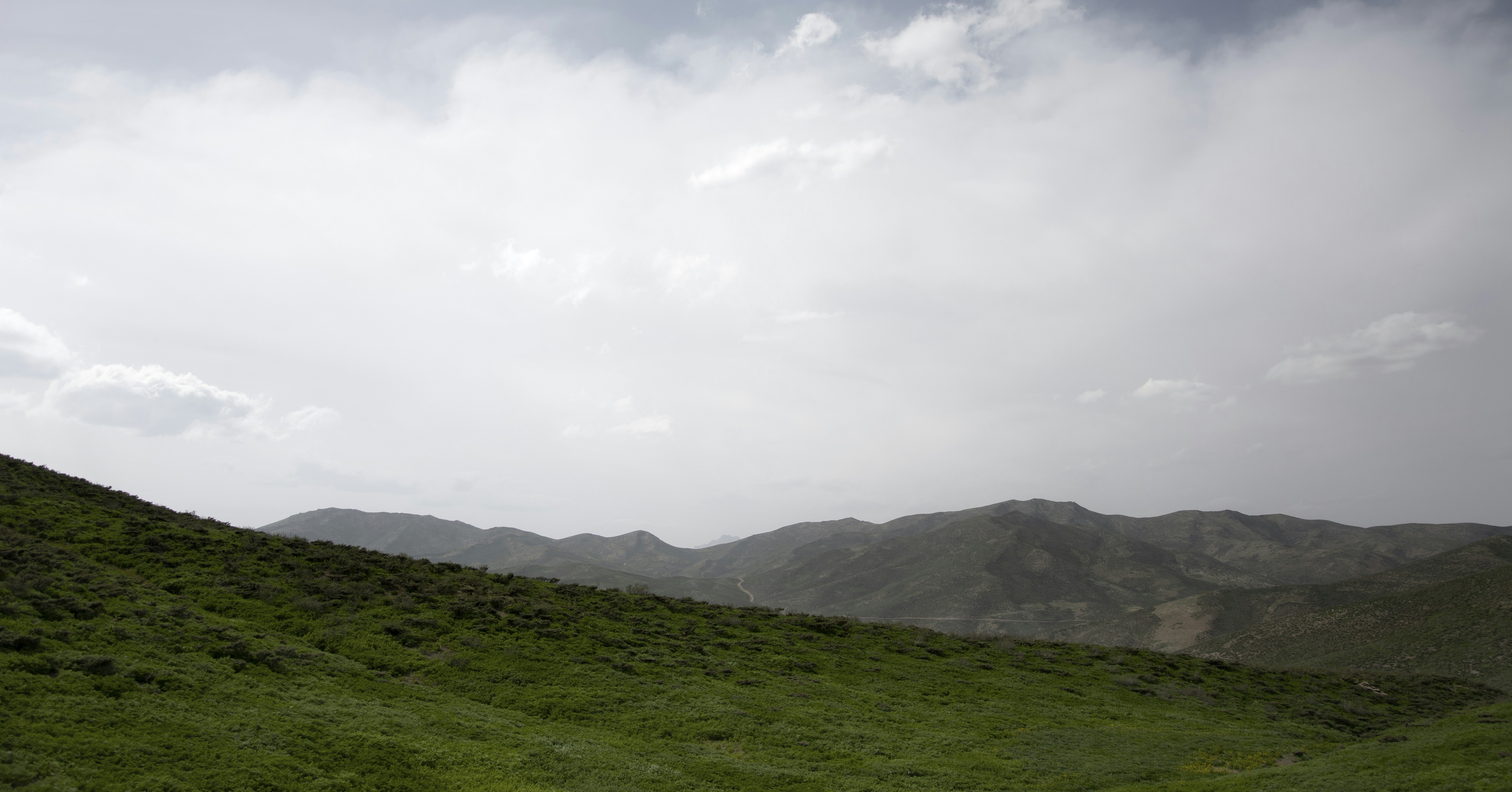 Photo by arshimedess