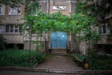 A residential building facade with a blue door and steps leading up to it. A metal pergola covered with lush green vines provides shade. A small bench and a potted plant sit to the right, while the surrounding area has dense greenery.