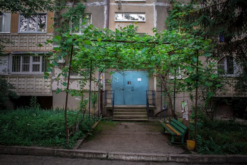 A residential building facade with a blue door and steps leading up to it. A metal pergola covered with lush green vines provides shade. A small bench and a potted plant sit to the right, while the surrounding area has dense greenery.