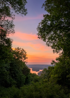 Sunset over the Chari River with lush green vegetation along the banks.