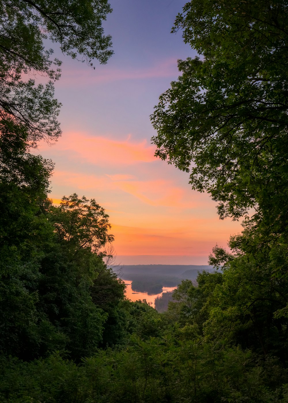 green trees near body of water during sunset