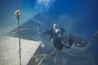 Underwater diver documenting marine life with a camera near a shipwreck.
