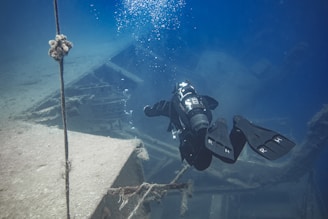 A scuba diver explores a sunken shipwreck underwater. The diver is equipped with full diving gear, including a tank and flippers, and is surrounded by the deep blue of the ocean. The shipwreck structure appears aged and covered in some marine growth.
