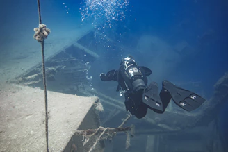 A diver in full gear carefully inspecting underwater marine life near a sunken wreck.