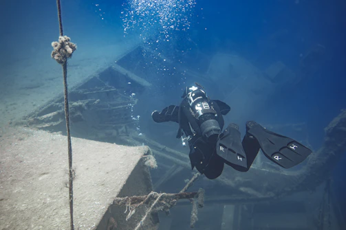 Underwater diver documenting marine life with a camera near a shipwreck.