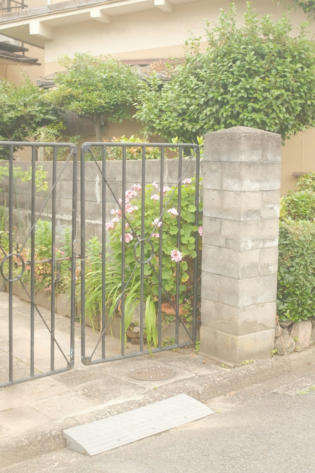 green metal gate near green plants during daytime