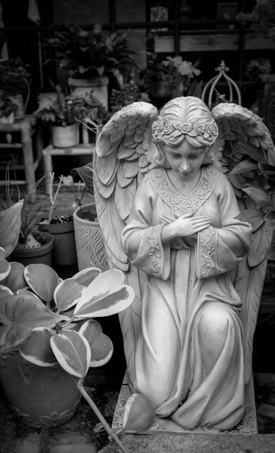 A detailed stone statue of an angel with intricate wings and folded hands surrounded by lush potted plants. The background features various types of foliage and planters, creating a serene and contemplative atmosphere.