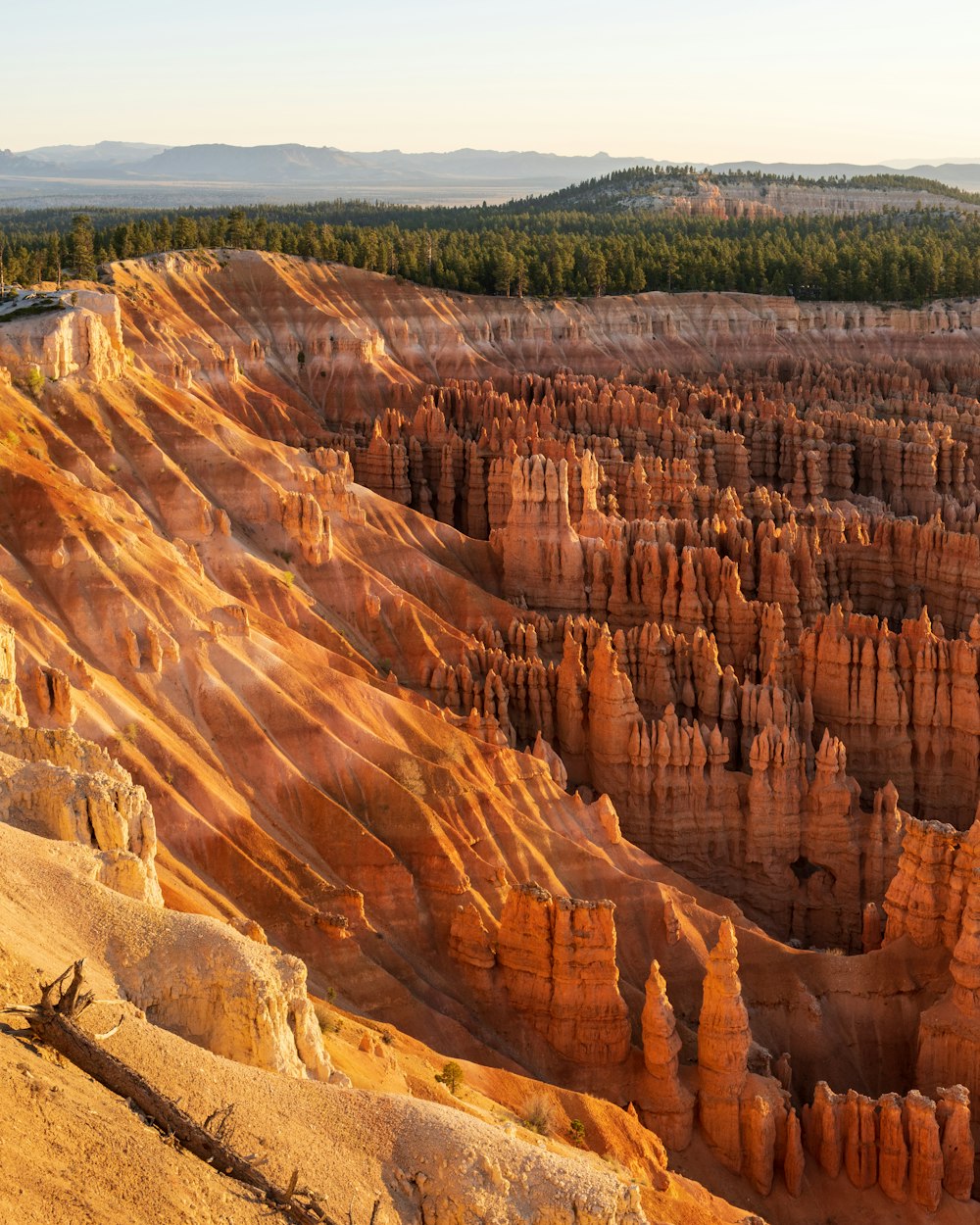 brown rock formation during daytime