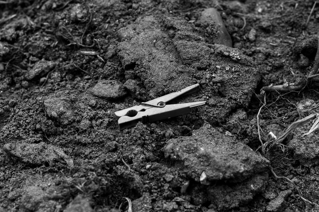 grayscale photo of nail cutter