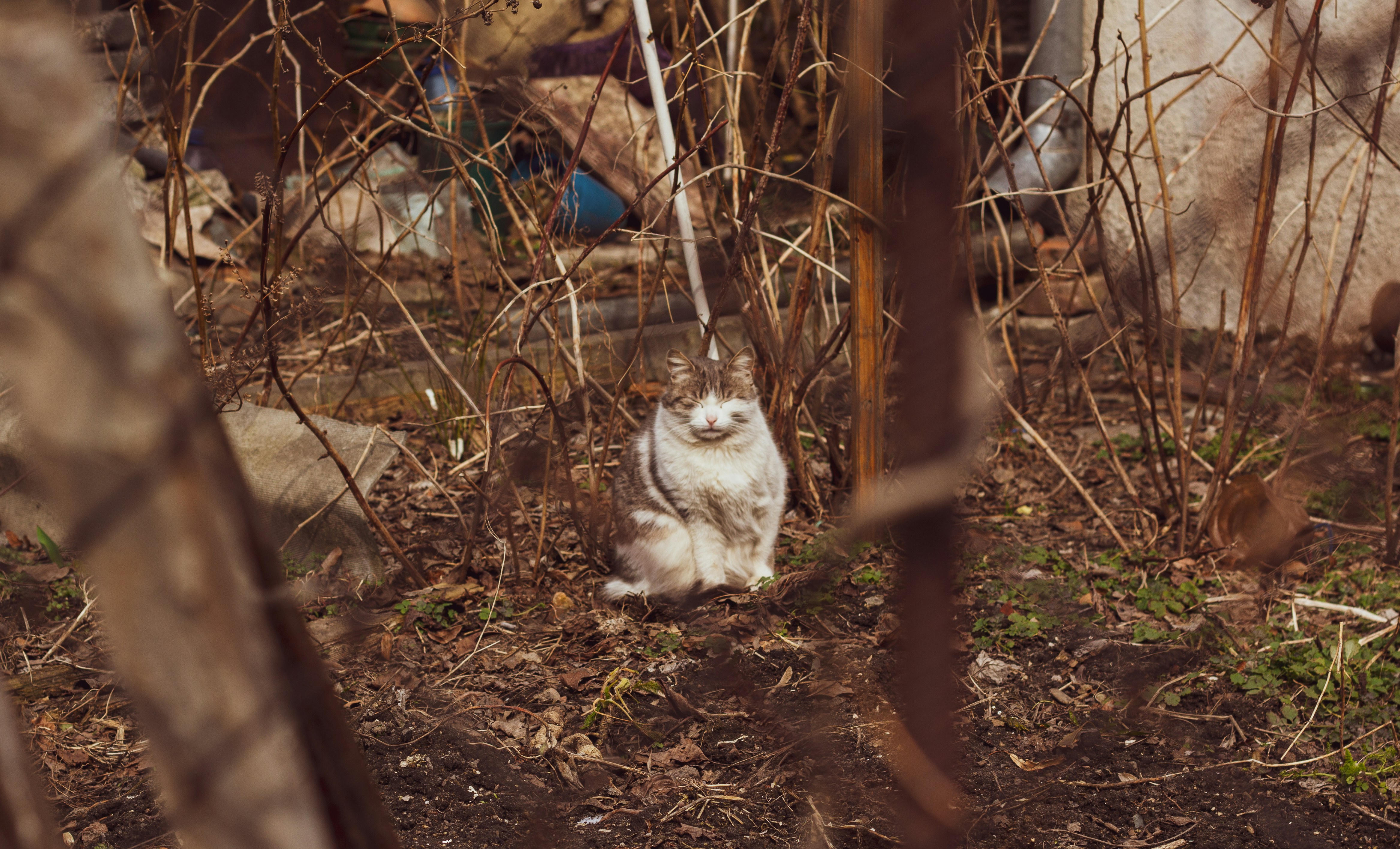 Photo by nocturnal_corvus