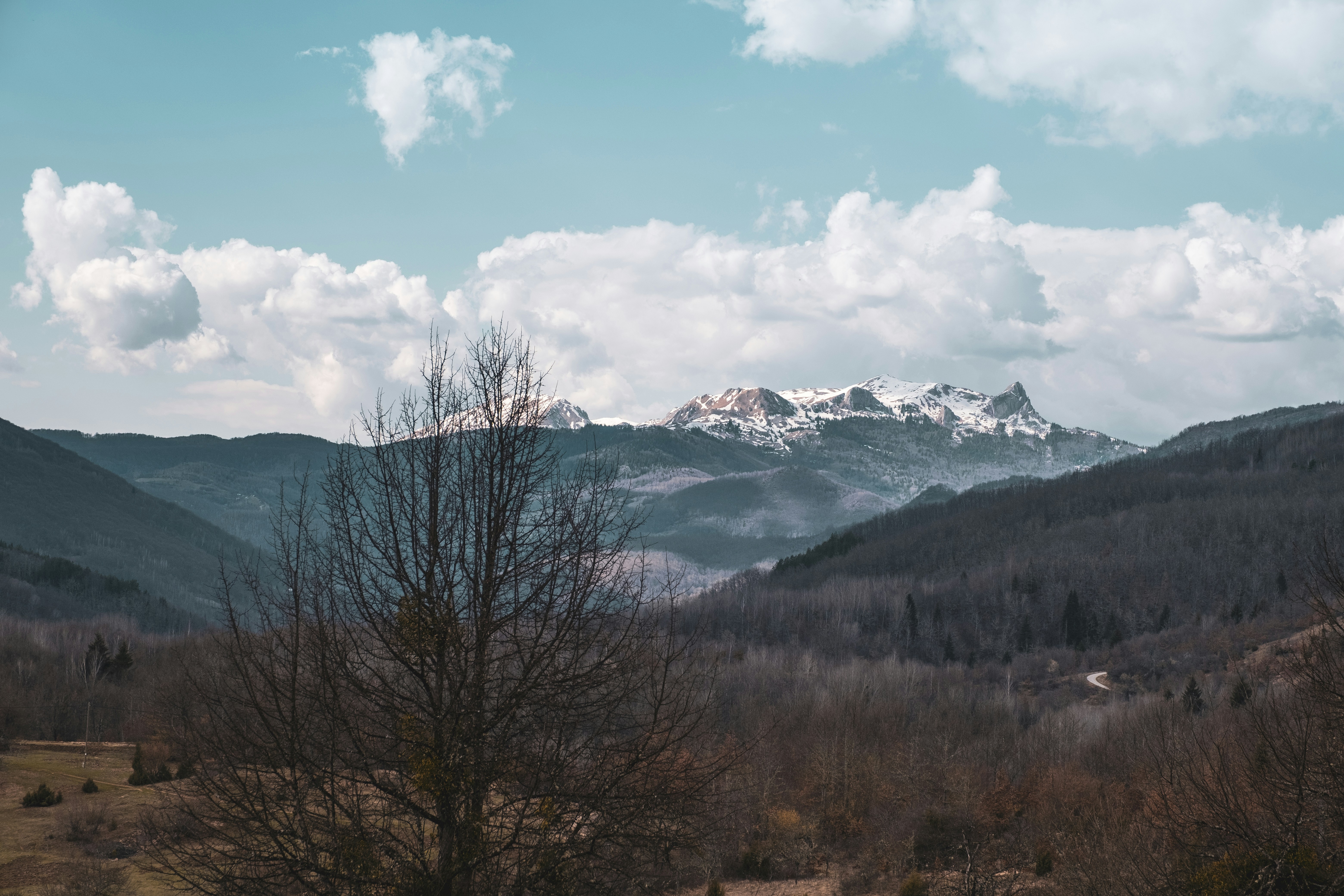 Photo by muhamed77777