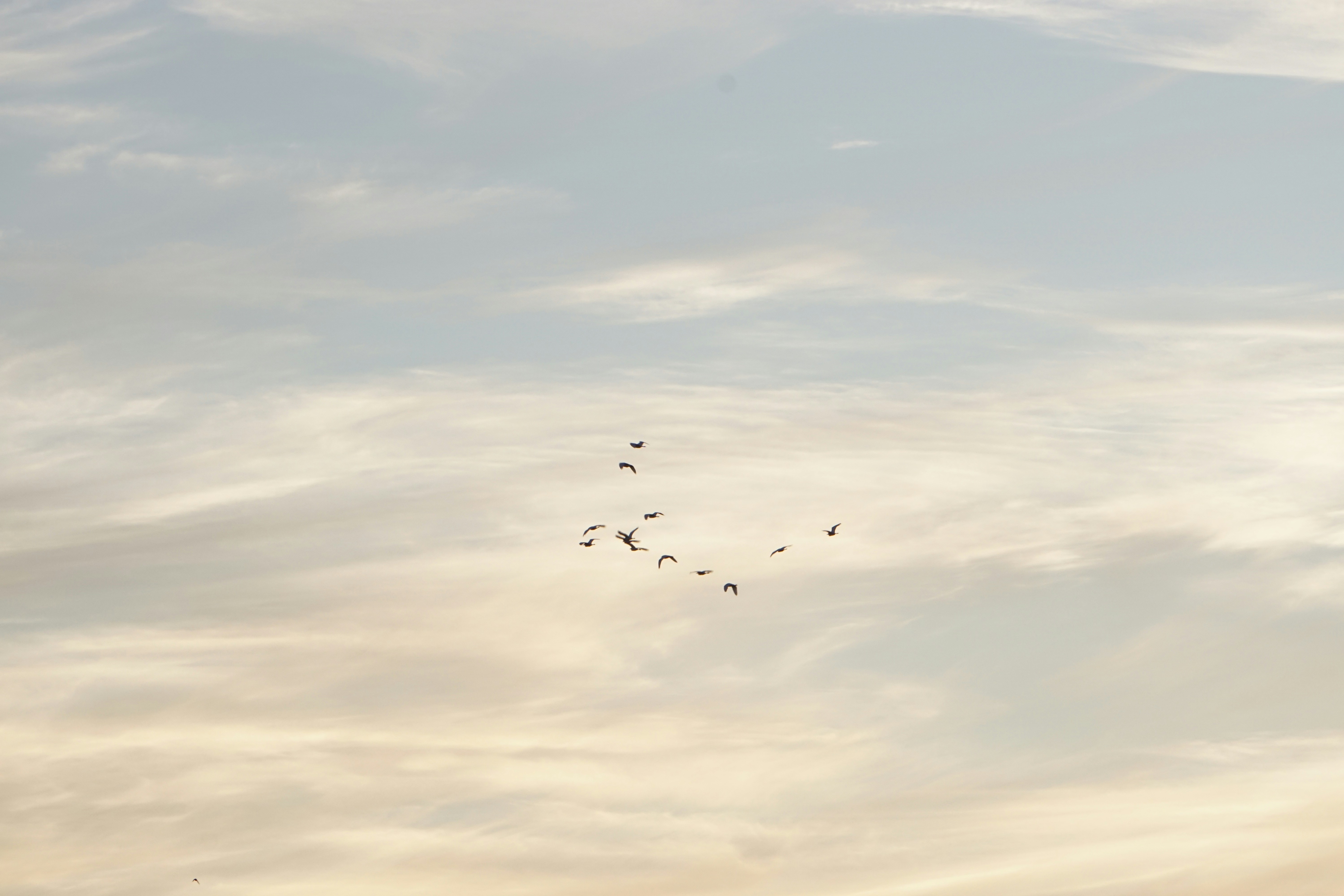 Photo by jessica_vallotto