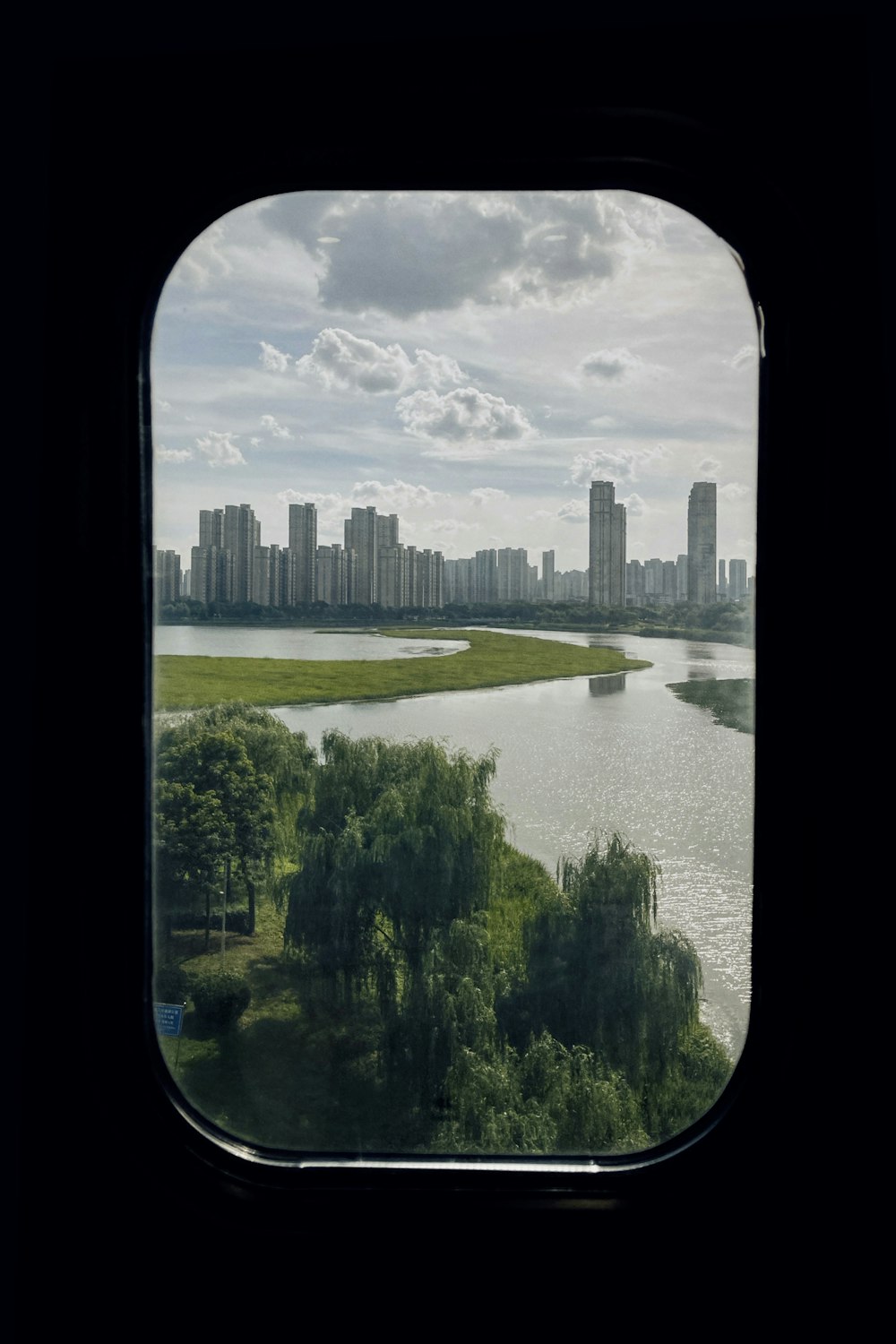 green trees near body of water during daytime