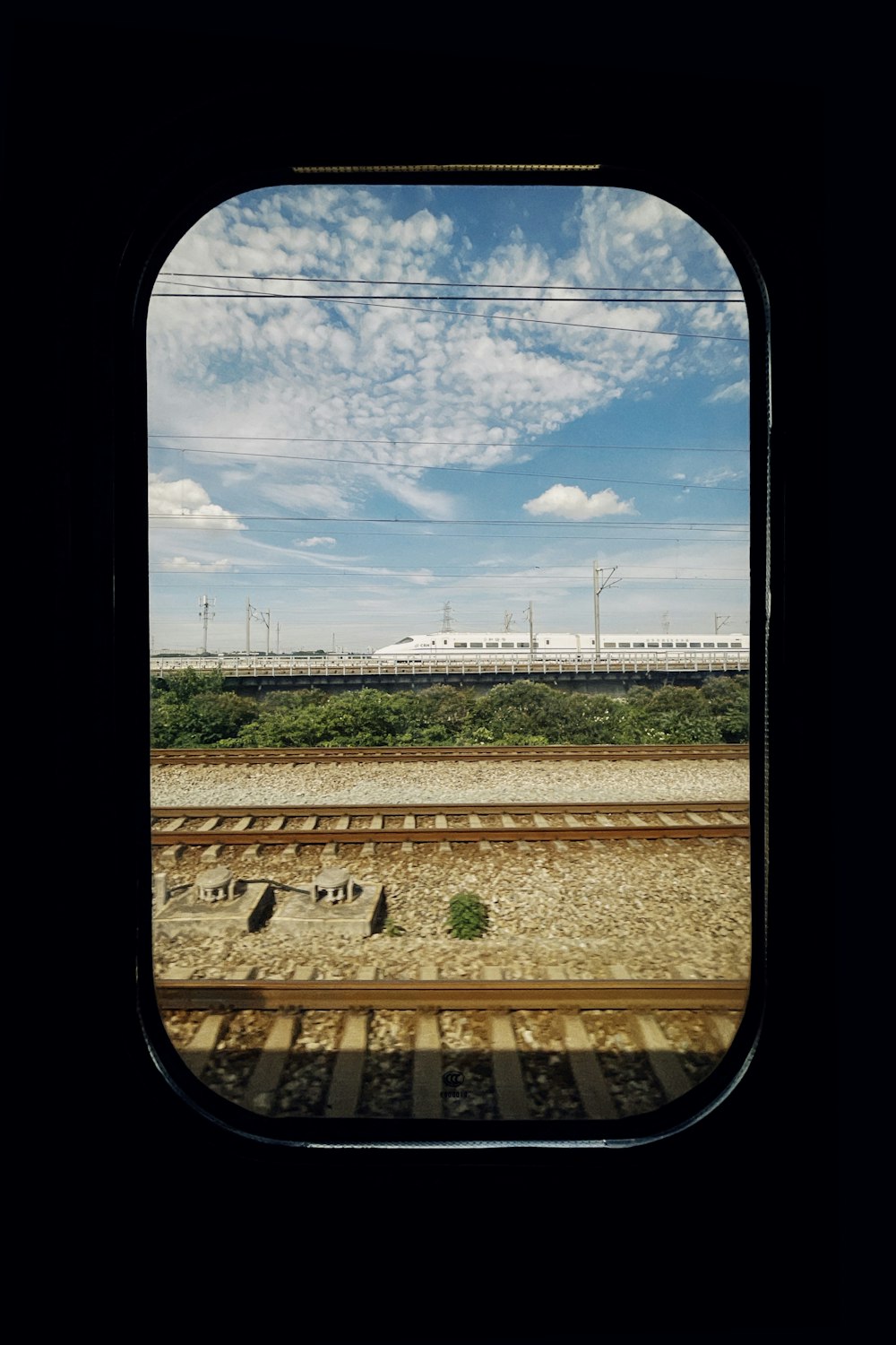 brown and black train rail under blue sky during daytime