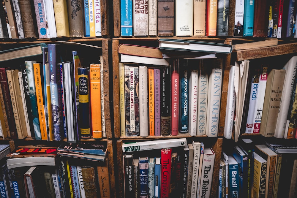 books on brown wooden shelf