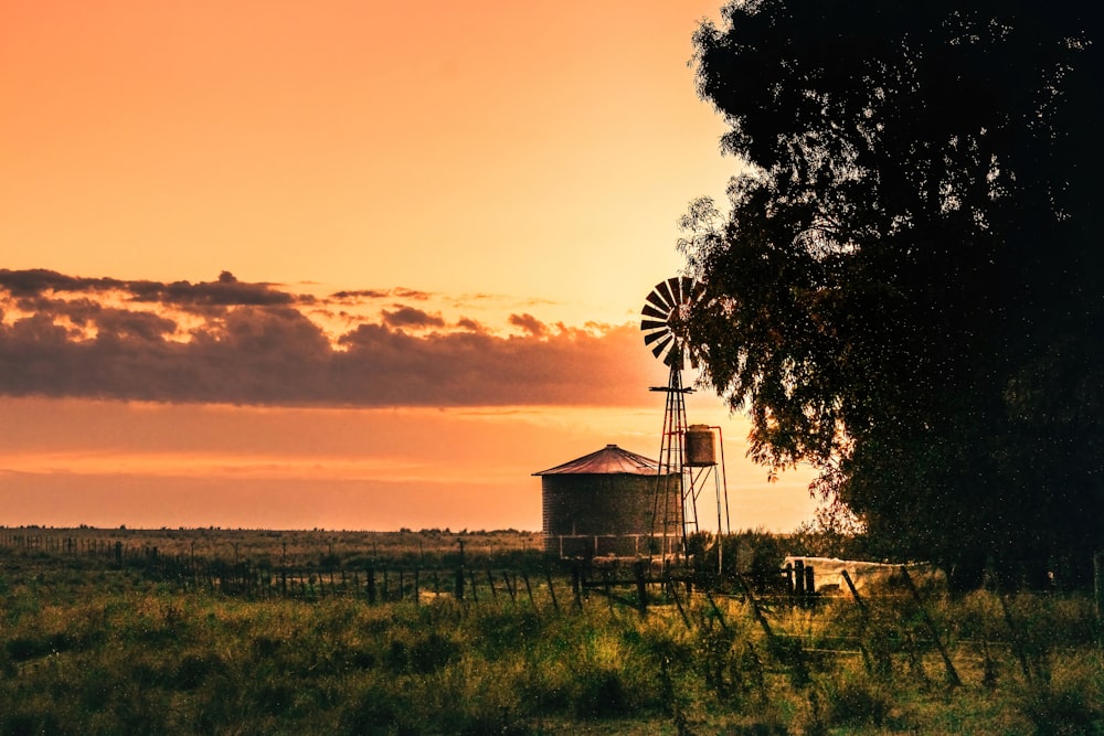 white and brown wooden house near green grass field during sunset