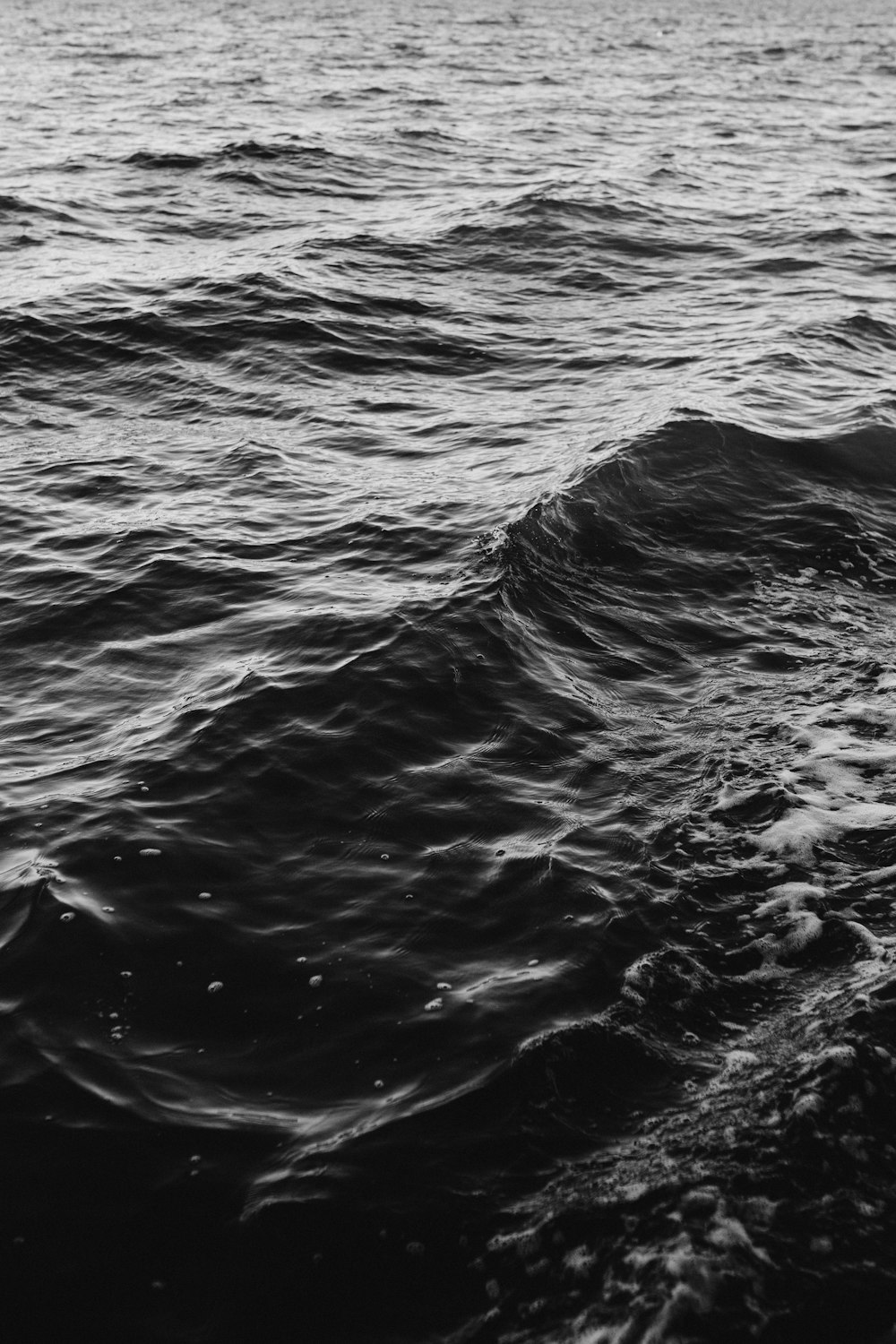 grayscale photo of body of water