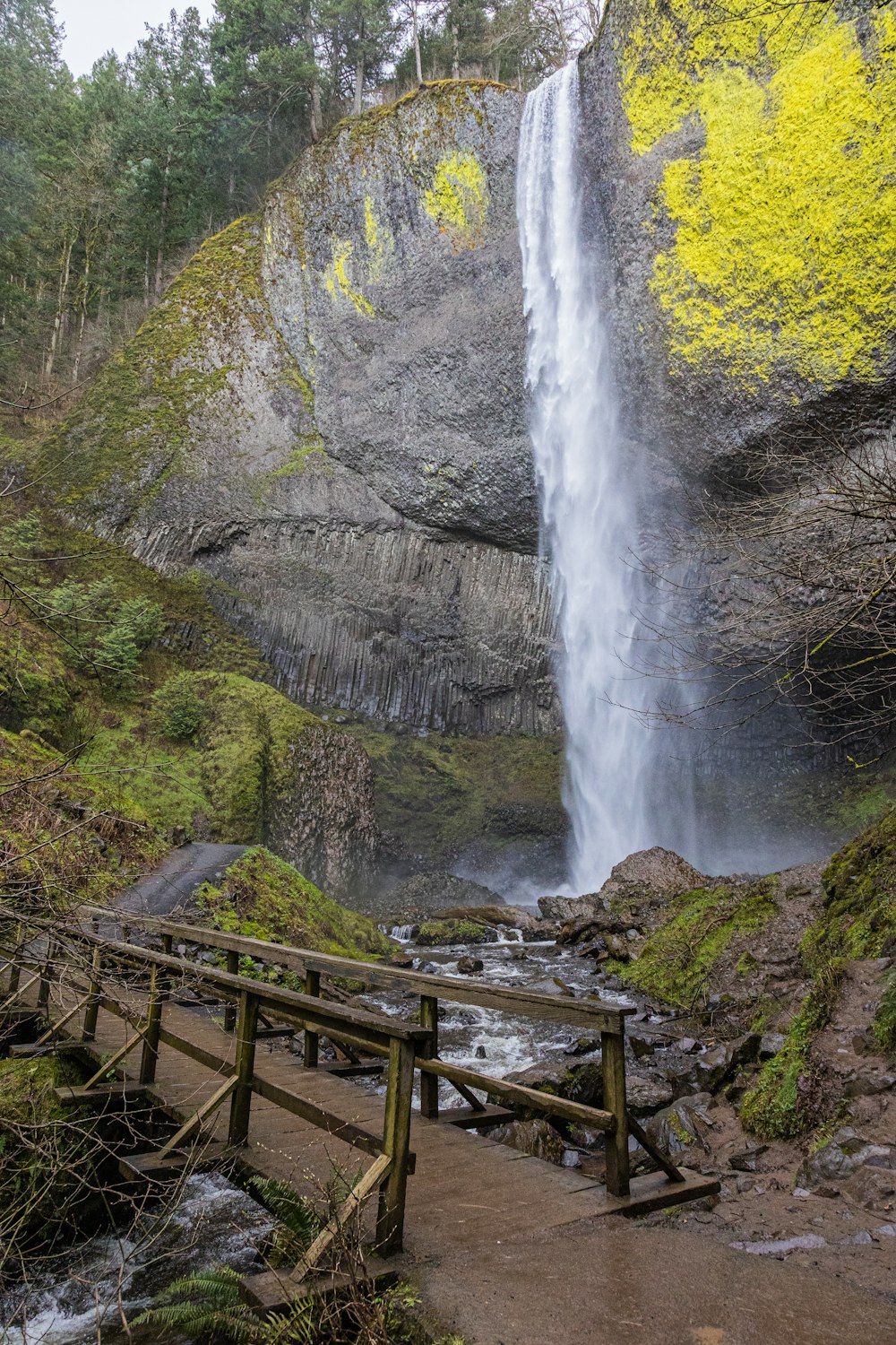 brown wooden bridge near waterfalls during daytime