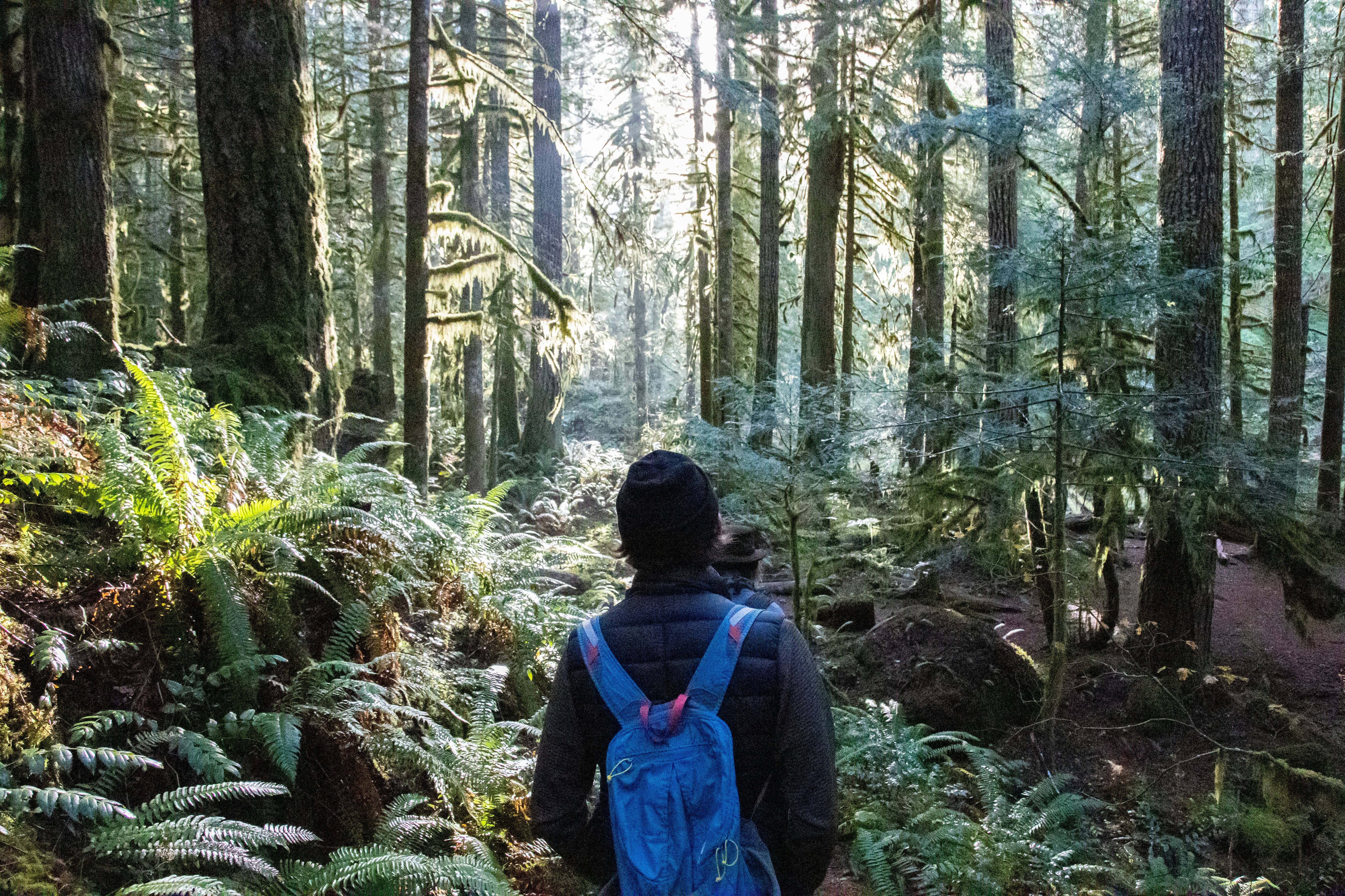 Photo by davidmerrick