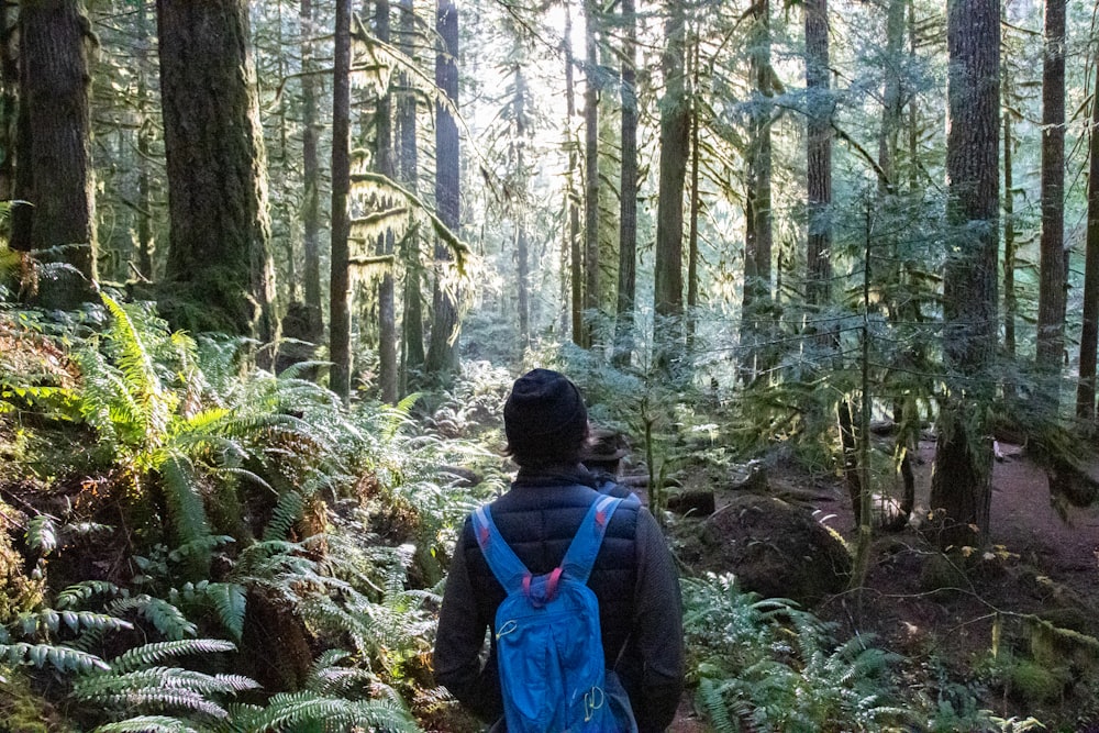 person in blue jacket and black backpack standing in forest during daytime
