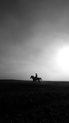 Silhouette of a man on horseback riding across open plains at dawn.
