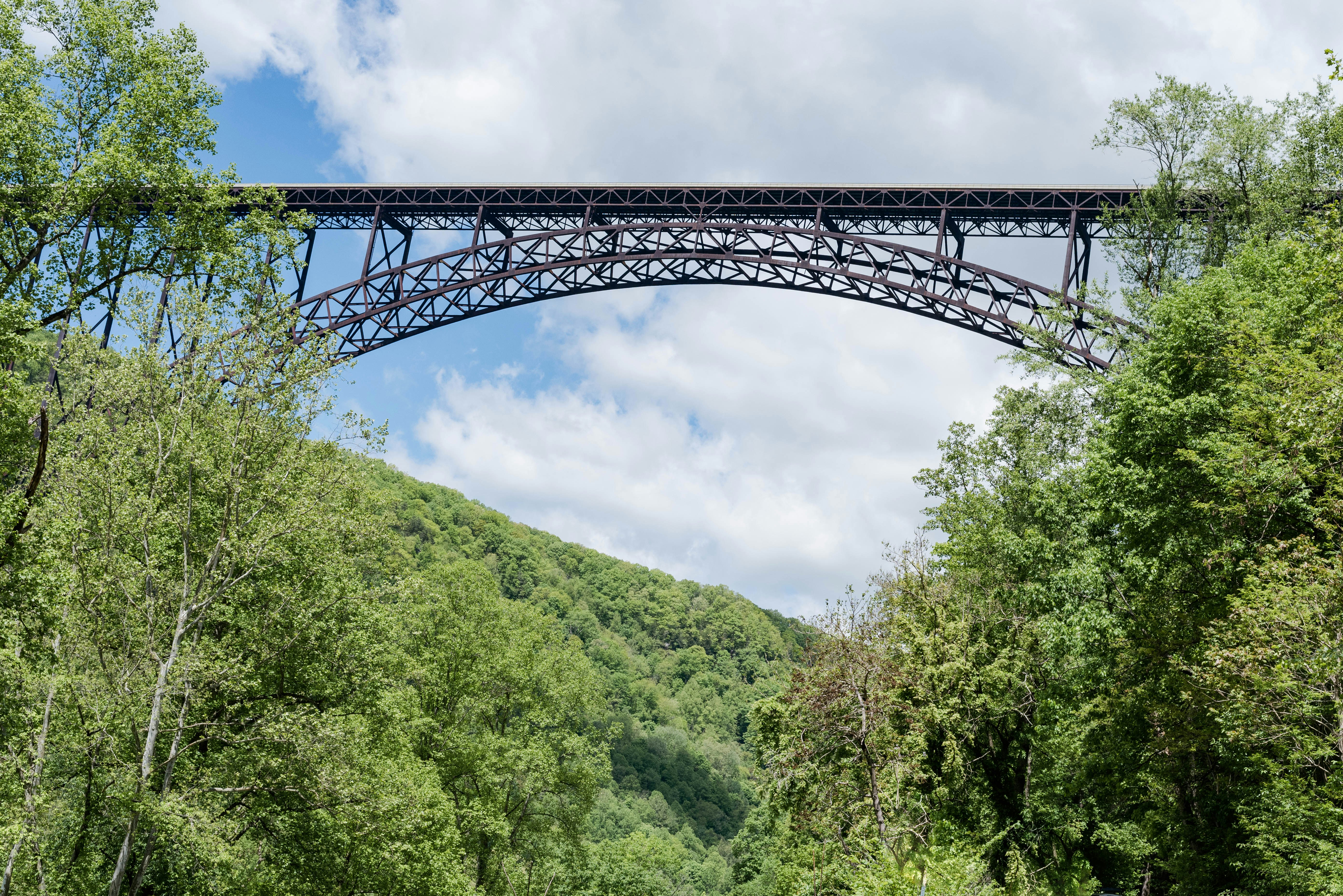 alberi verdi sulla montagna sotto nuvole bianche durante il giorno