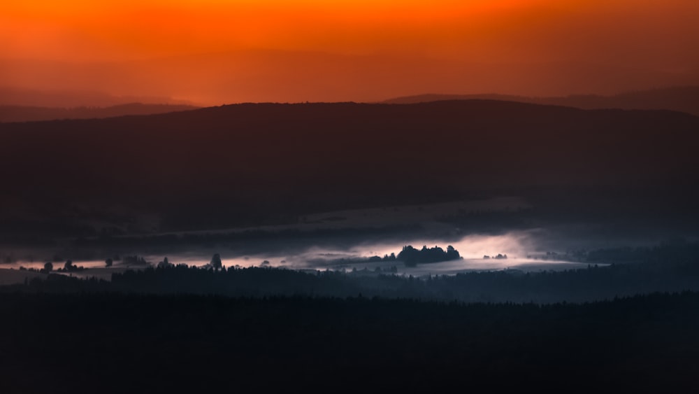 silhouette of trees during sunset