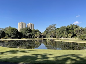 A serene park where humans and robots coexist harmoniously.