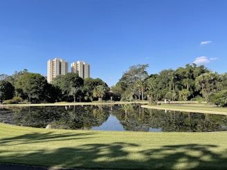 A serene park where humans and robots coexist harmoniously.