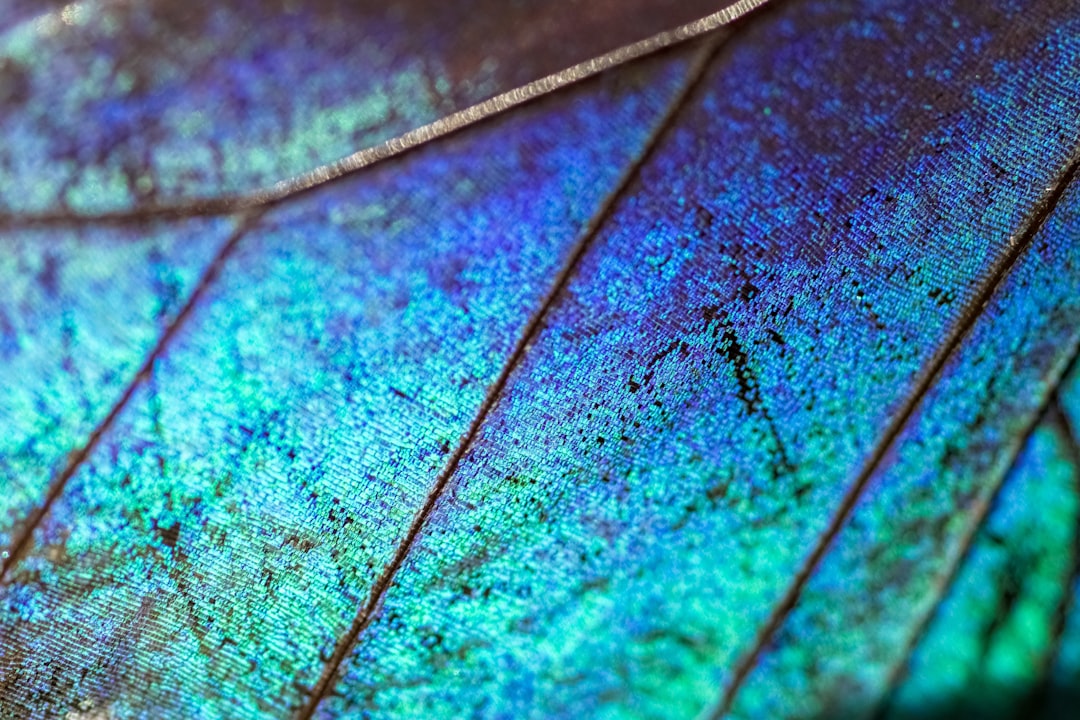 blue and red textile in close up photography