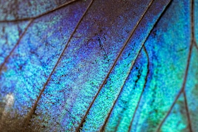 brown and green leaf in close up photography saturated teams background