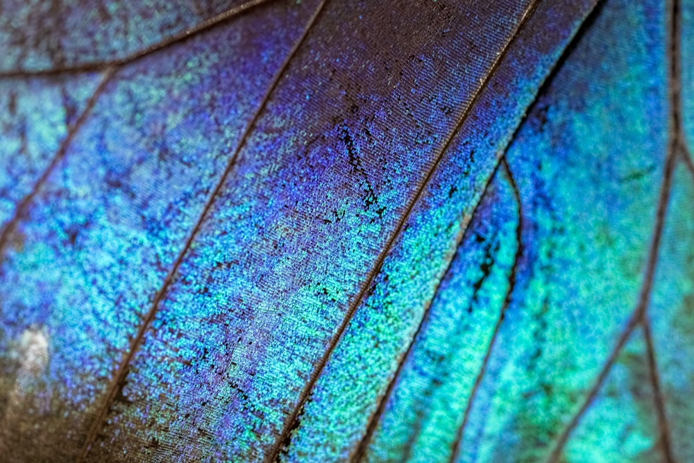 brown and green leaf in close up photography