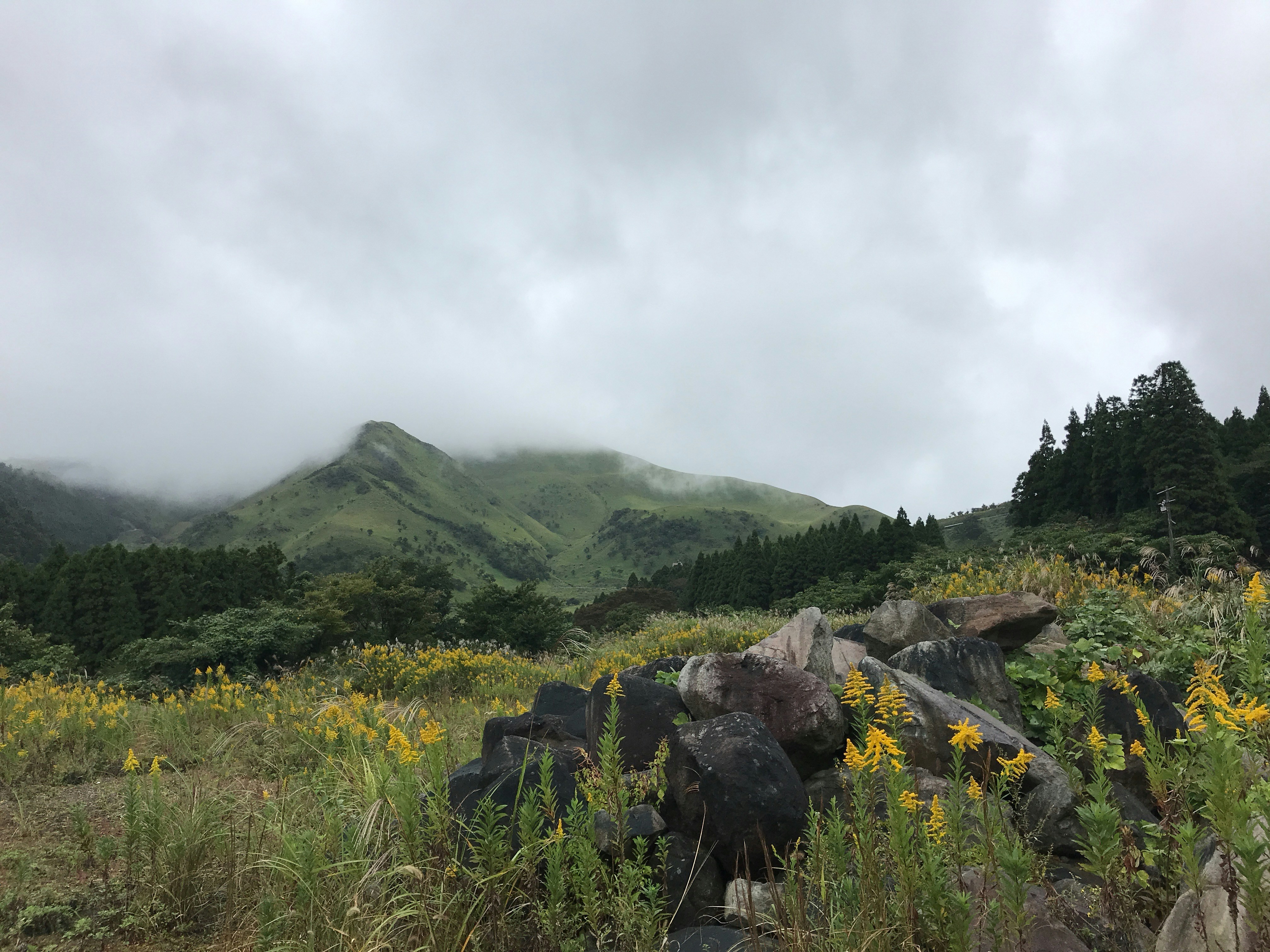 green grass field near green mountain under white sky during daytime