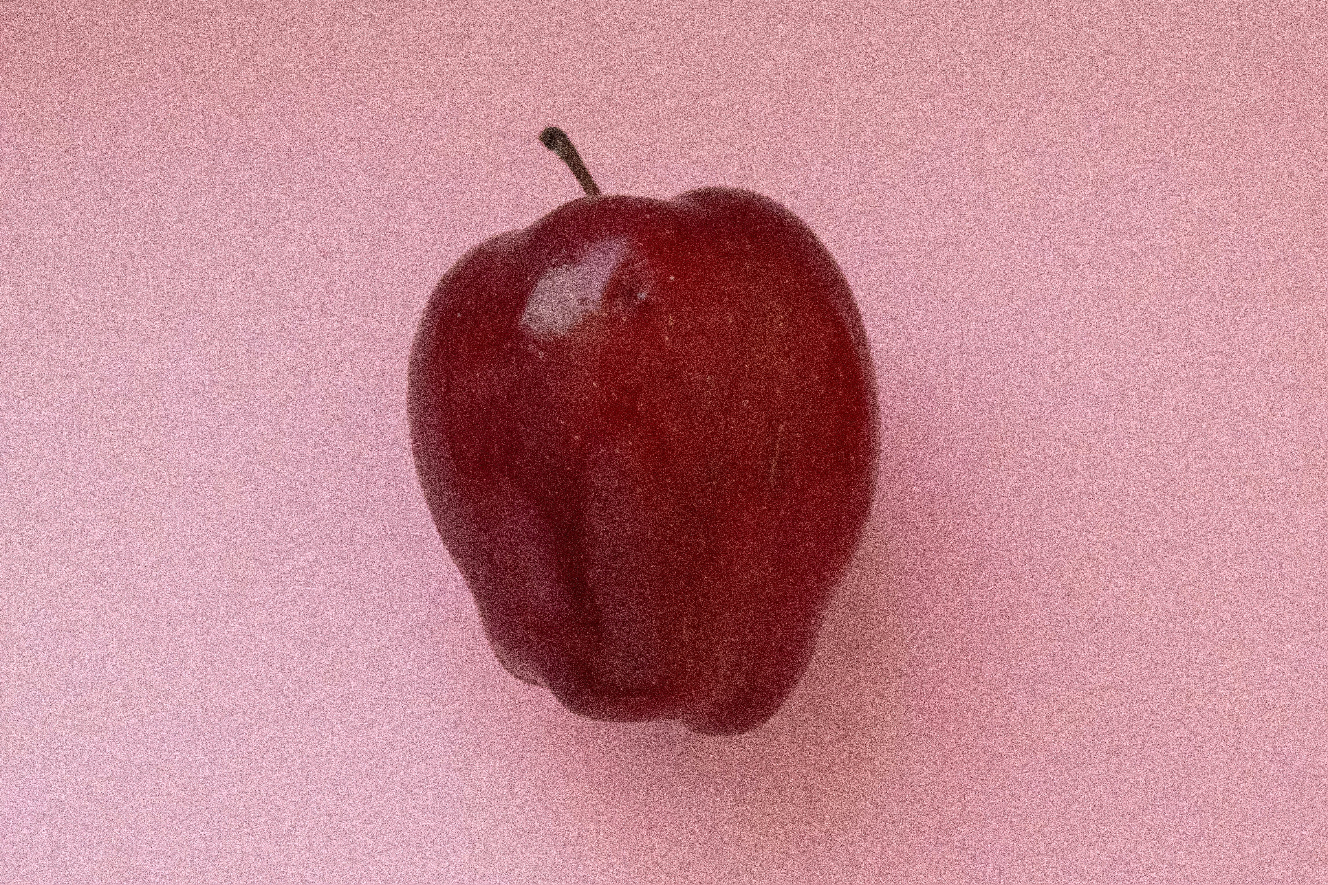 Photo by beredelvallephoto