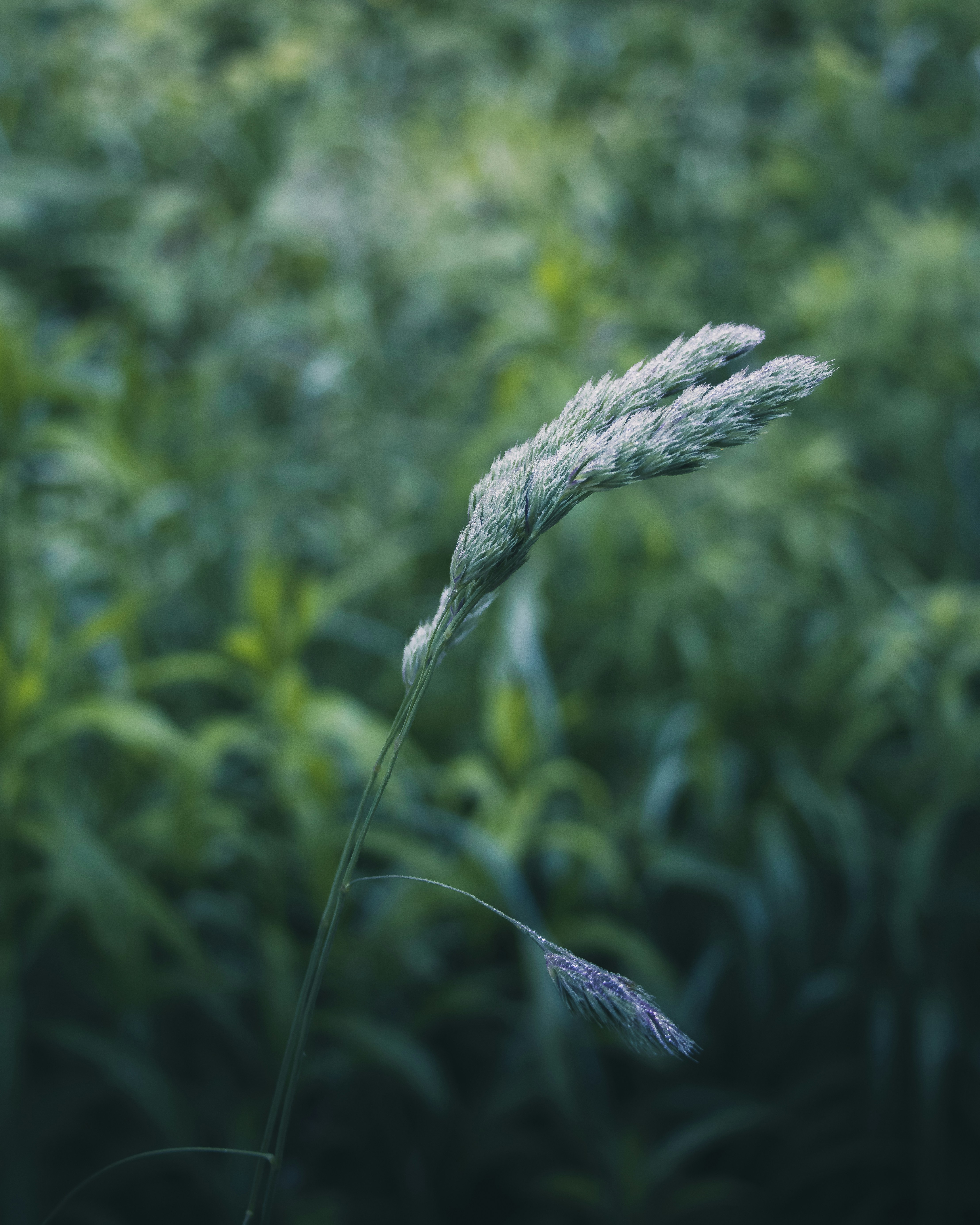 Photo by tersiusvanrhyn