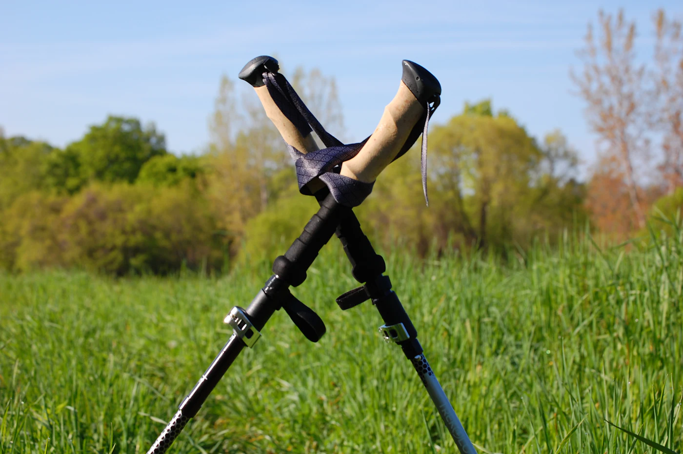 Two trekking poles crossed and leaning against each other in tall grass