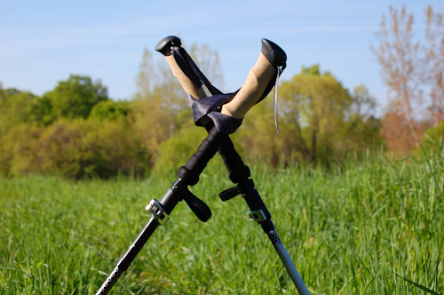 Trekking poles