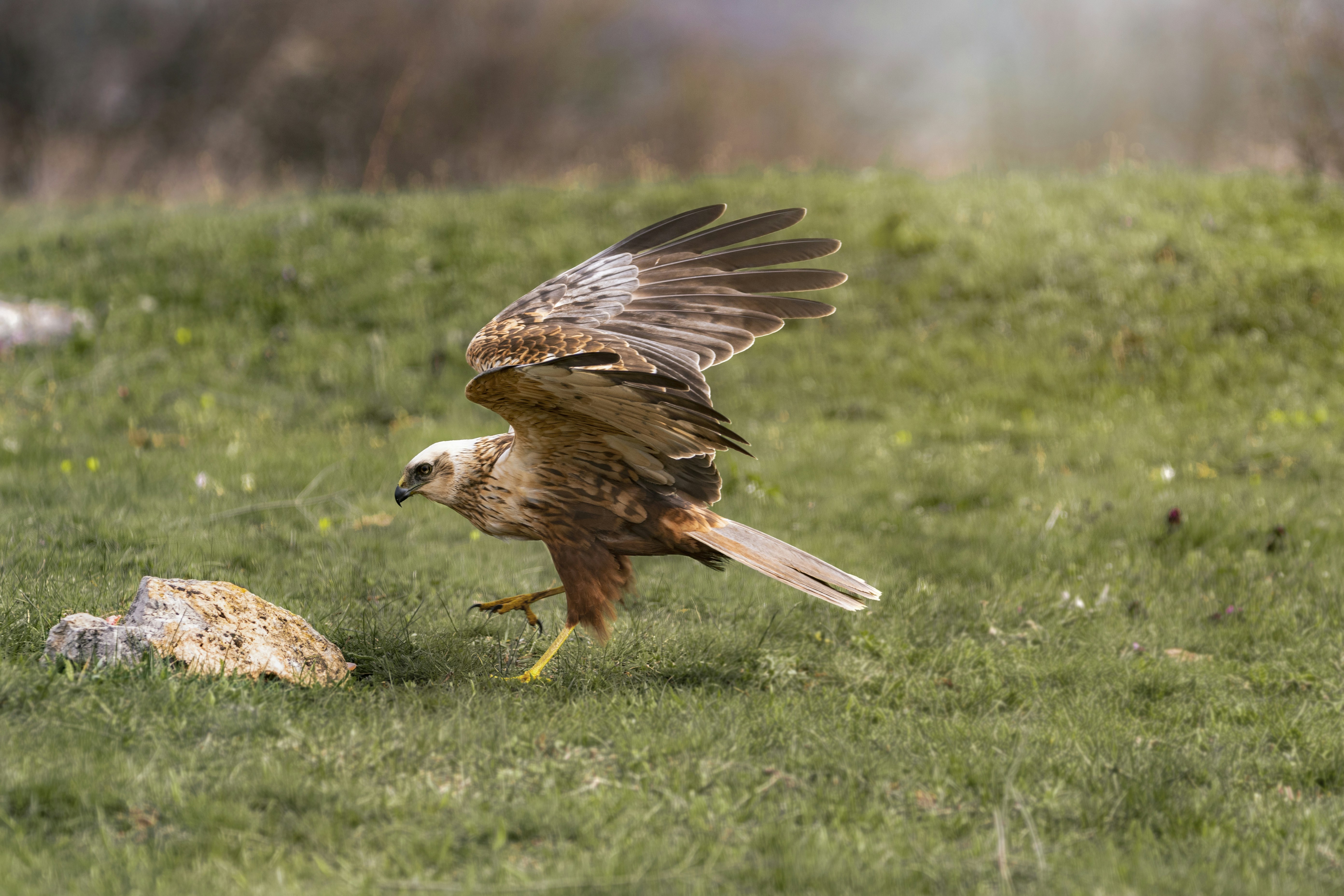 Photo by emanuelantonov