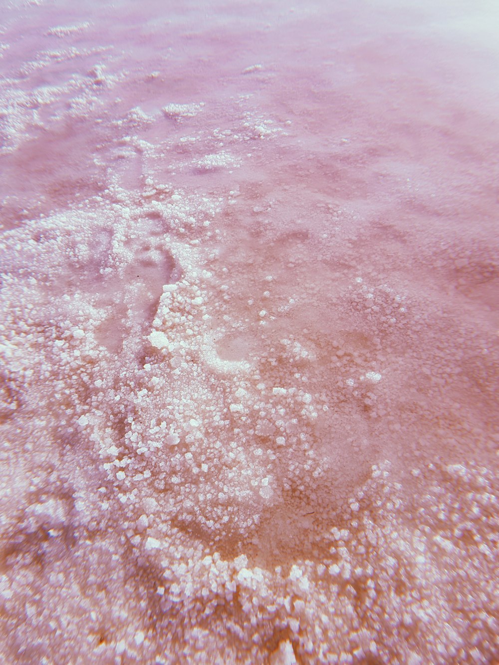 Pink Water Stock Photo, Picture and Royalty Free Image. Image 57537050.