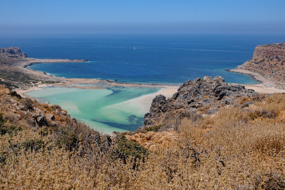 Erba verde vicino a uno specchio d'acqua durante il giorno