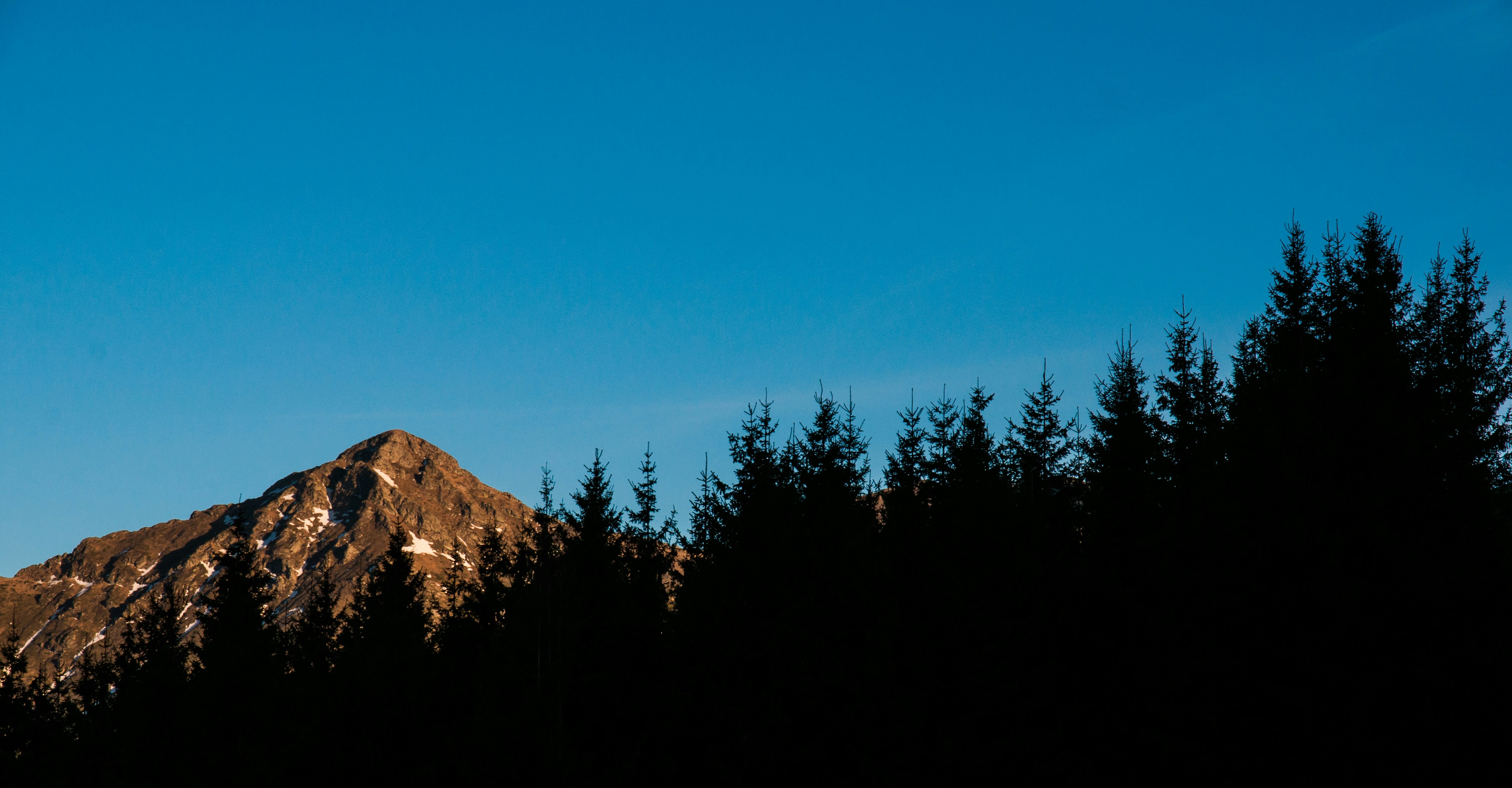 Photo by emanuelantonov