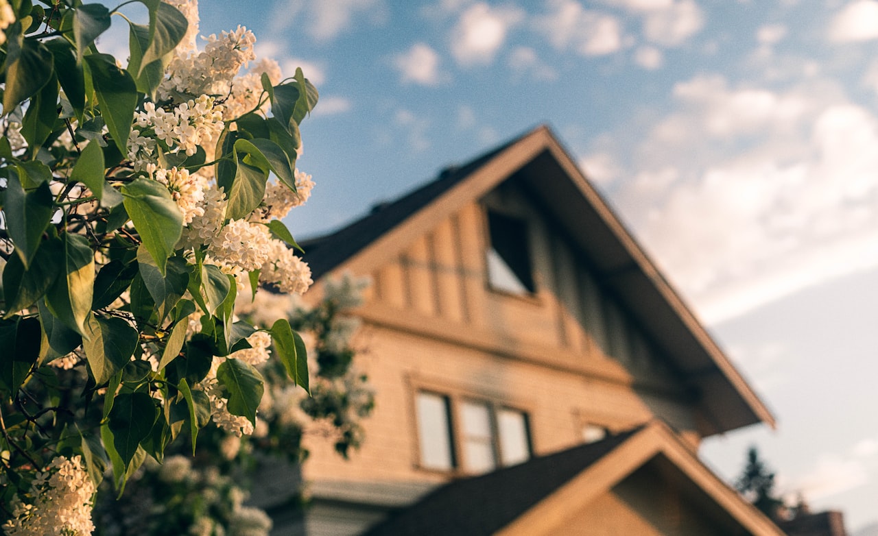 bush with white flowers in front of a 2 storey house