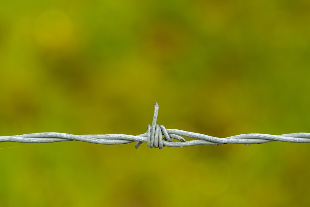 white metal barbwire in close up photography