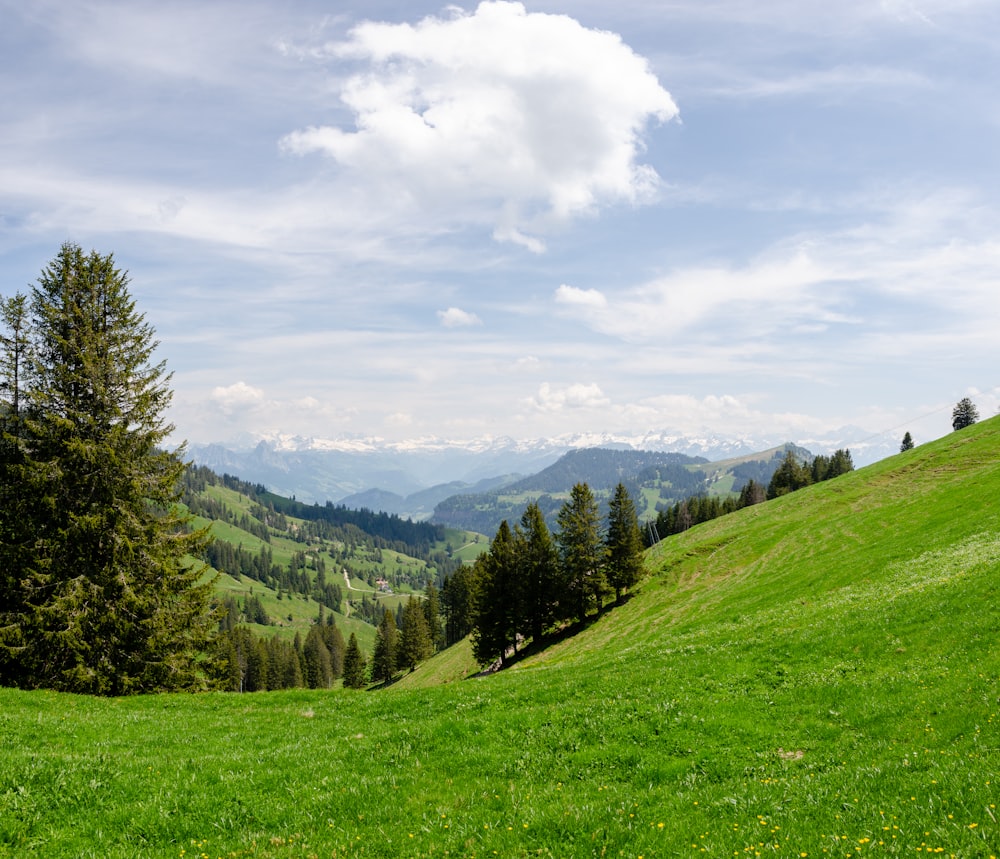 green grass field and green trees under white clouds and blue sky during daytime