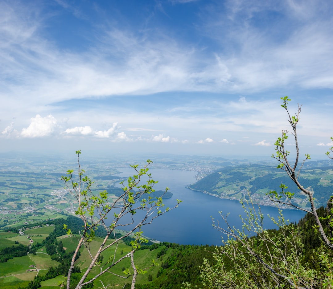 green trees near body of water under white clouds during daytime