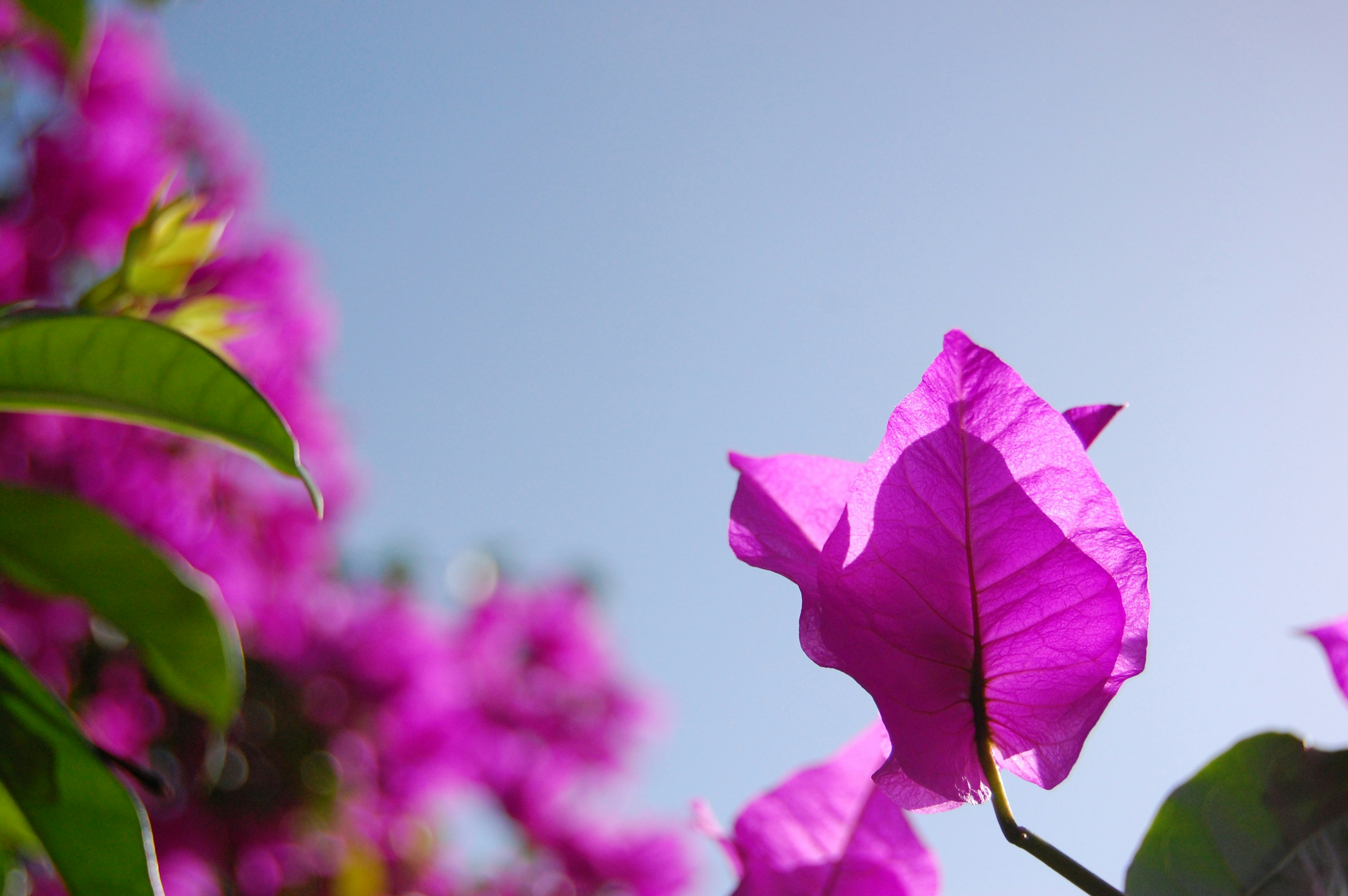 Photo by greenethirteen