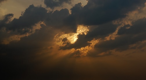 A cinematic frame showing a dramatic scene with natural light and shadows.