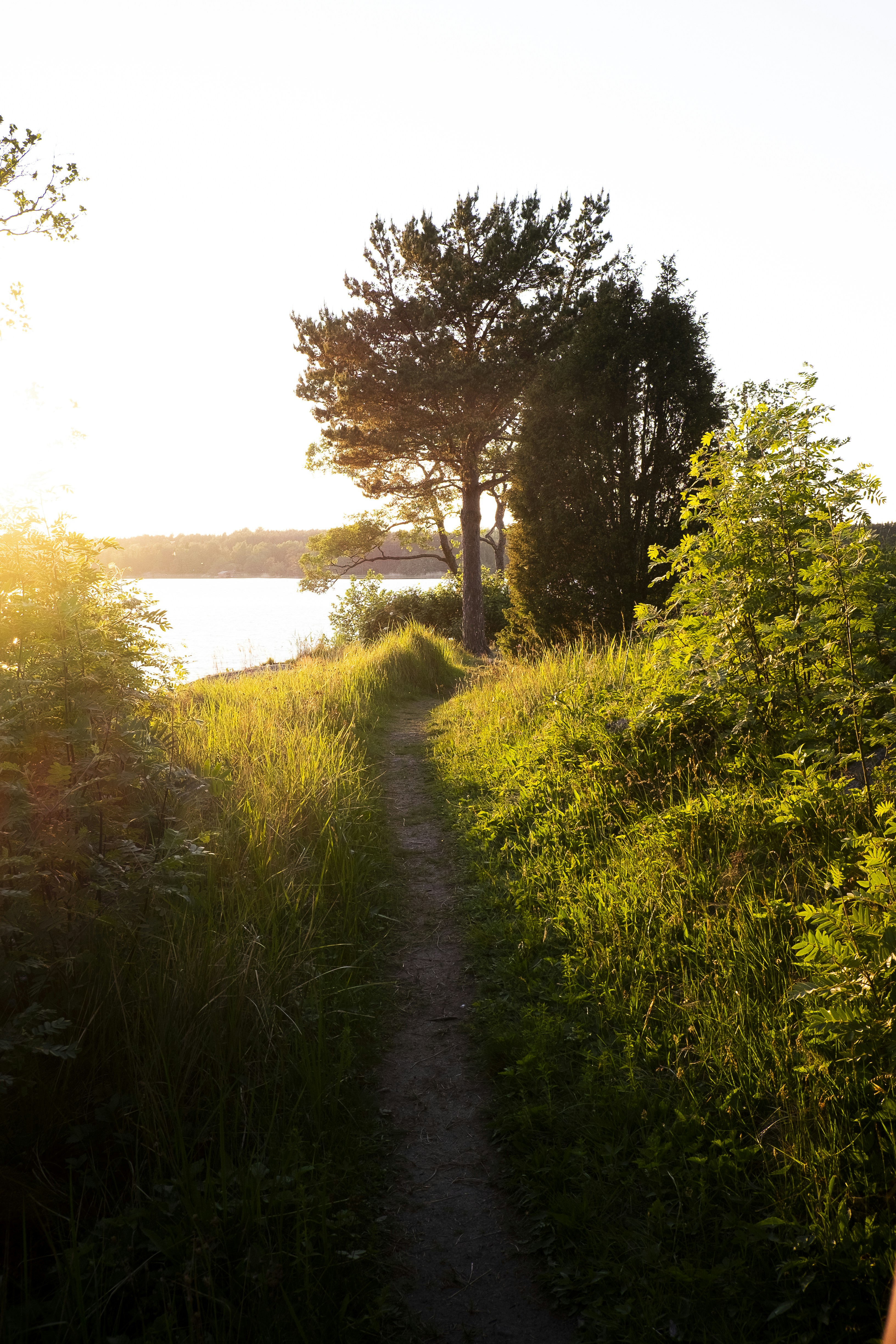 Photo by the_meaning_of_love