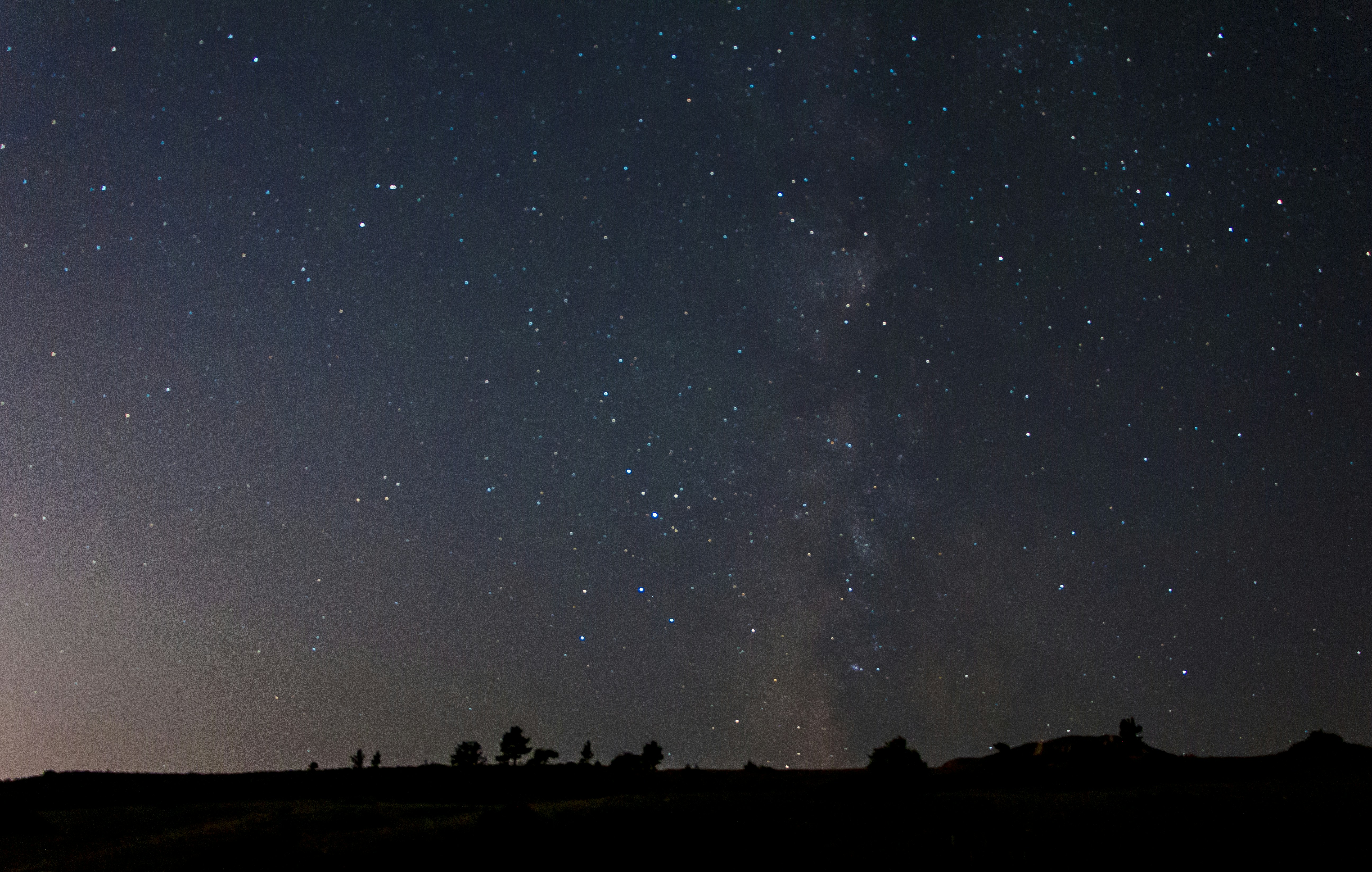 Photo by brandon_cai_hongtao