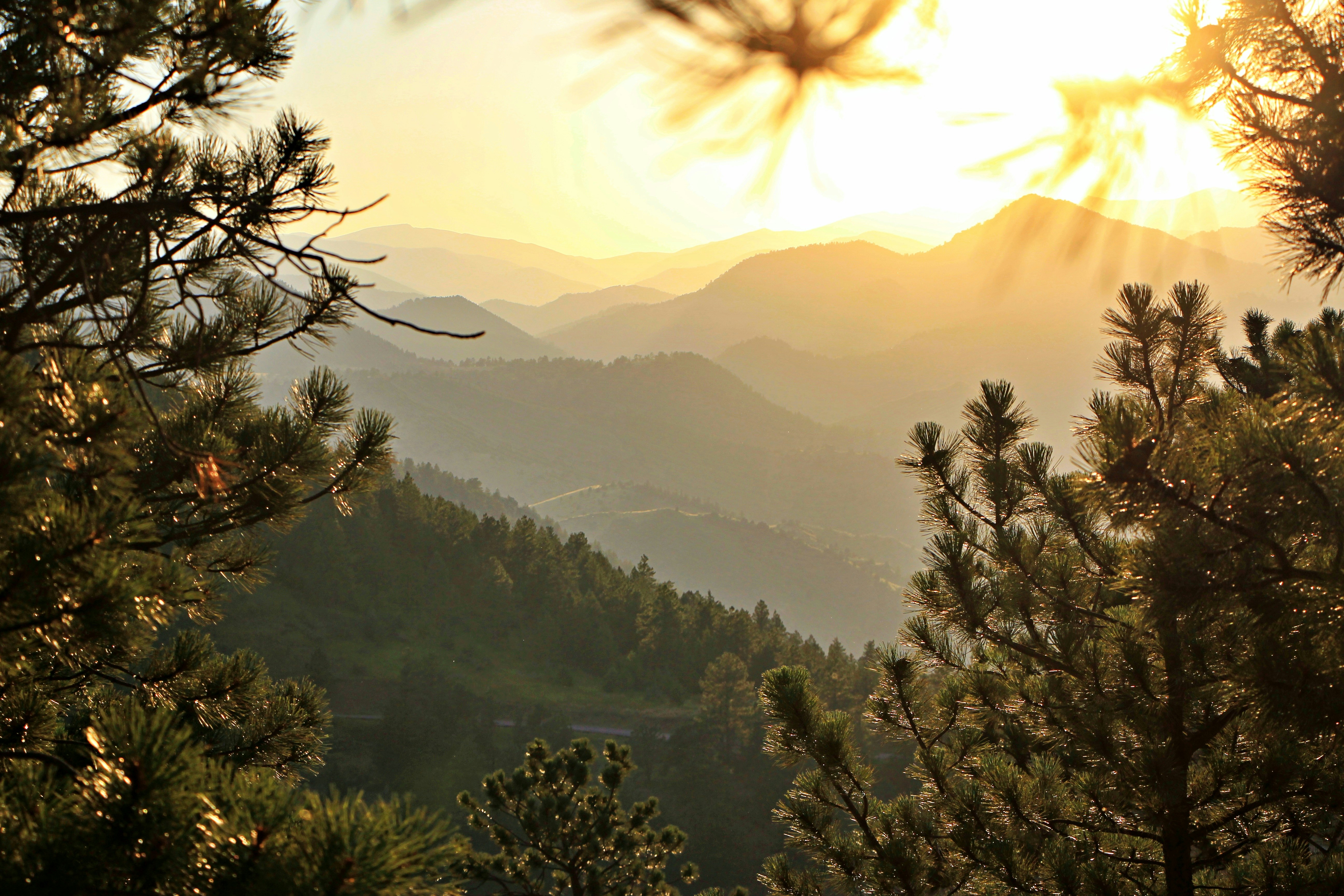 Photo by brandon_cai_hongtao